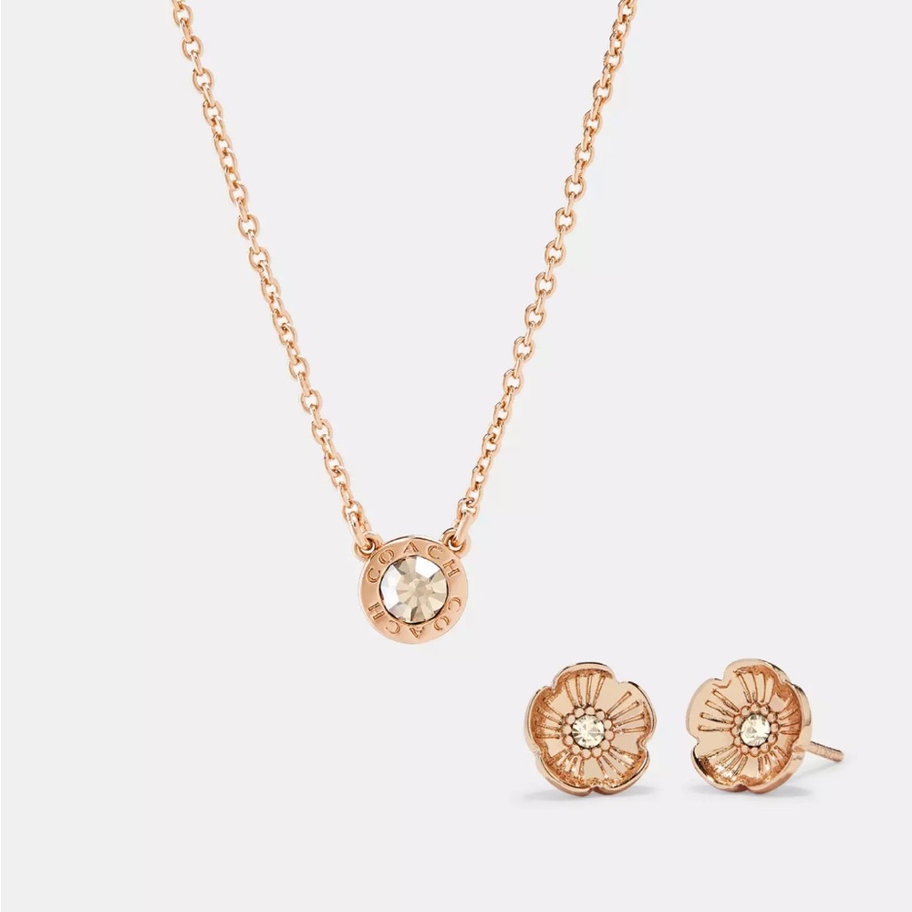 Coach Necklace & Earrings